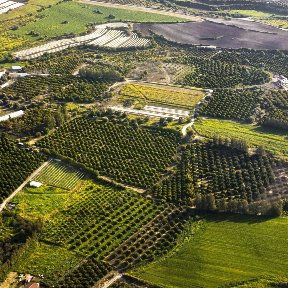 Aerial view at farm fields